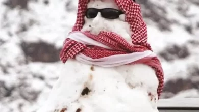 بالفيديو-معركة-“كرة-الثلج”-في-أحد-شوارع-السعودية