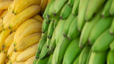 ما-الفرق-بين-الموز-الناضج-والموز-الأخضر؟